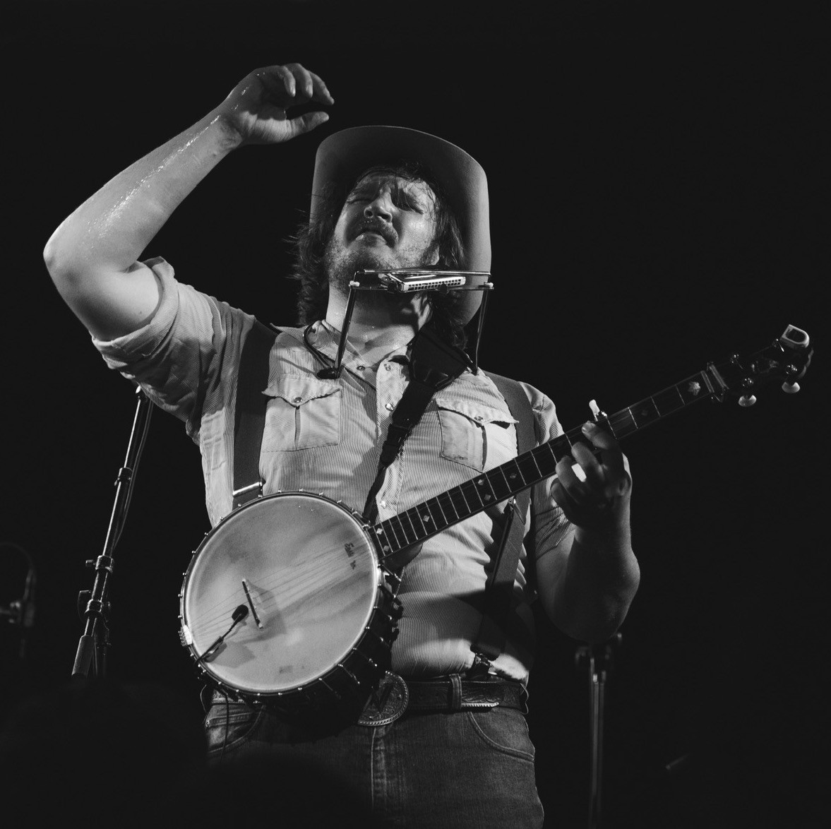 Willi Carlisle